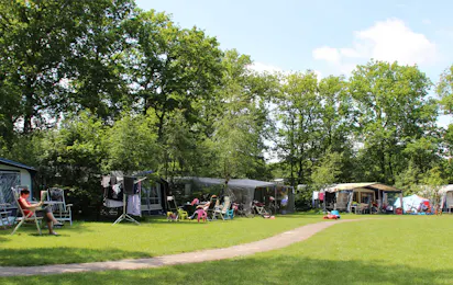Molecaten Park 't Hout