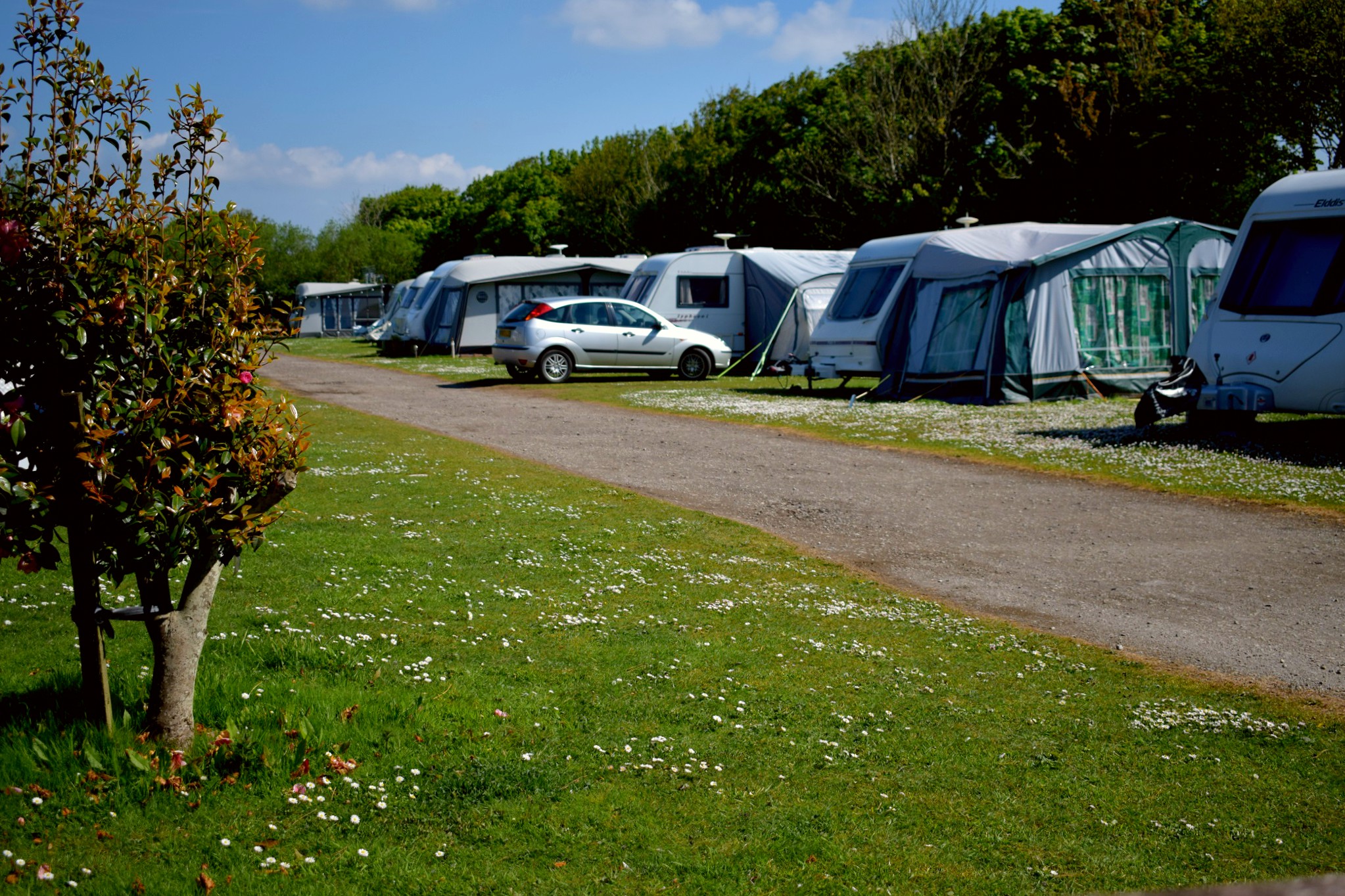 Monkey Tree Holiday Park