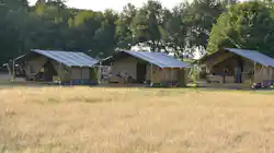 Mooirust