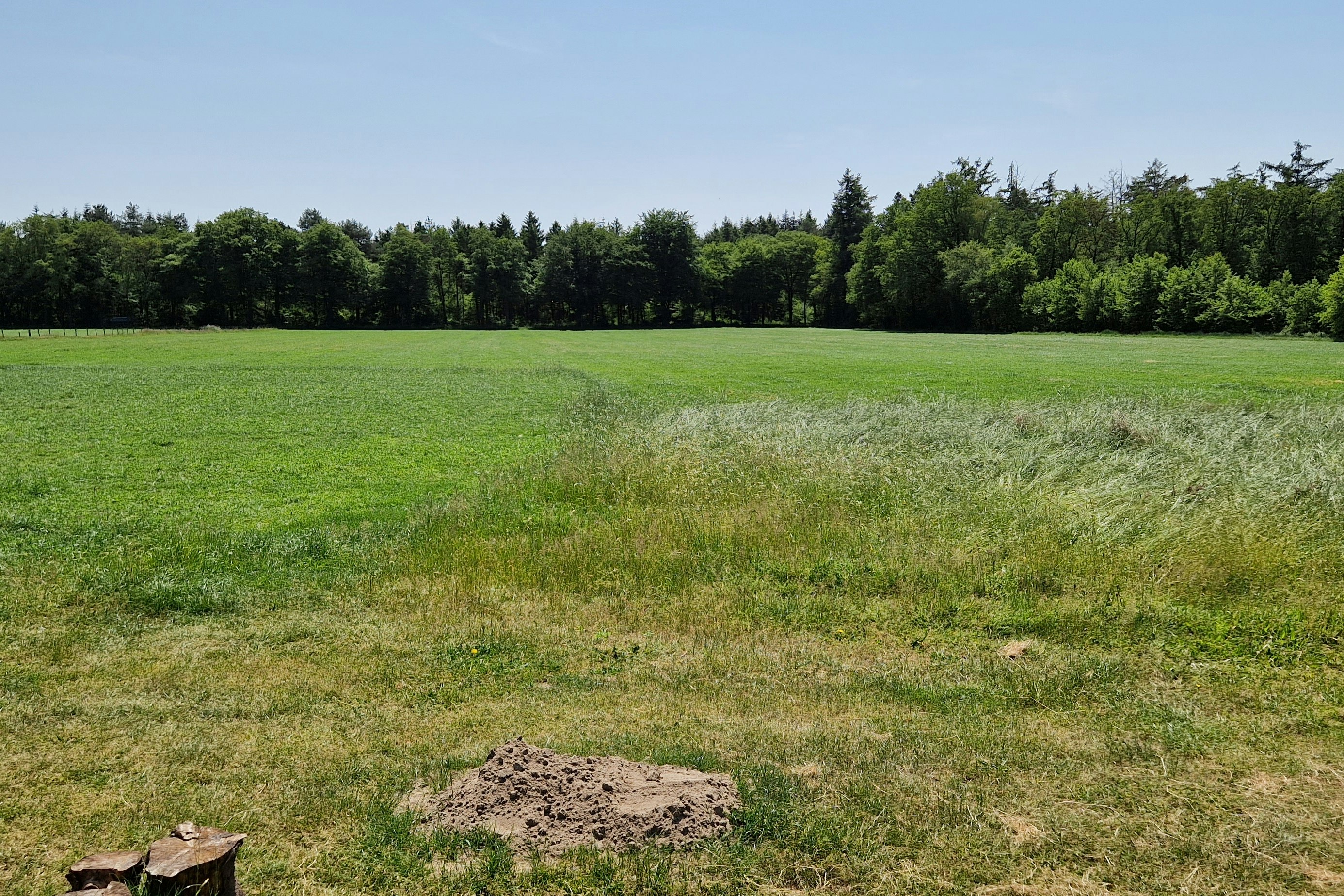 Mooirust - Blick auf die Wiese am Campingplatz
