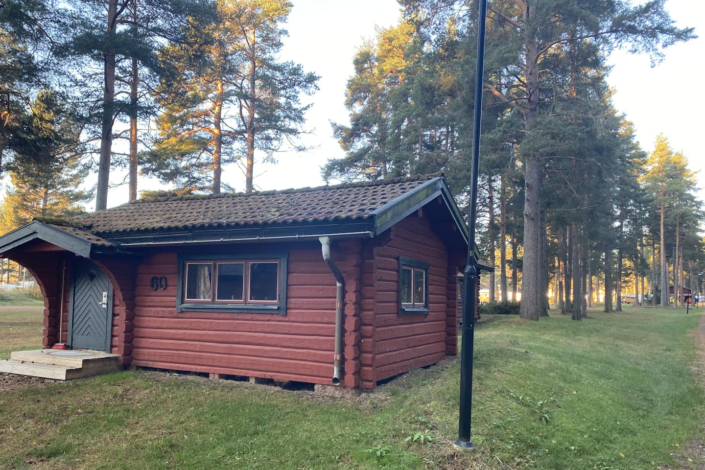 First Camp Moraparken – Dalarna - Mobilheim auf der Wiese zwischen den Bäumen