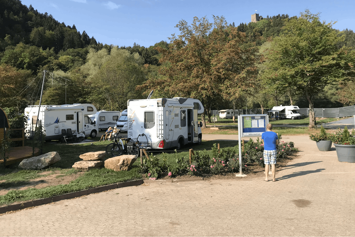 Mosel-Campingplatz Alf  -  Wohnwagen und Wohnmobile auf dem Stellplatz vom Campingplatz auf grüner Wiese