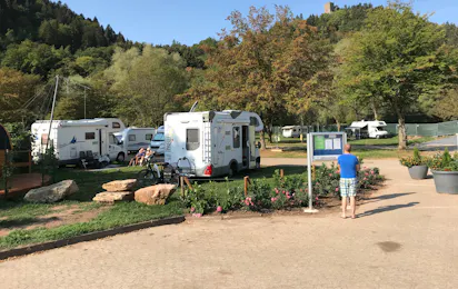 Moselcamping Alf
