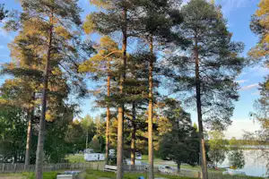 Mosjöns Camping - Standplätze zwischen den Bäumen auf dem Campingplatz