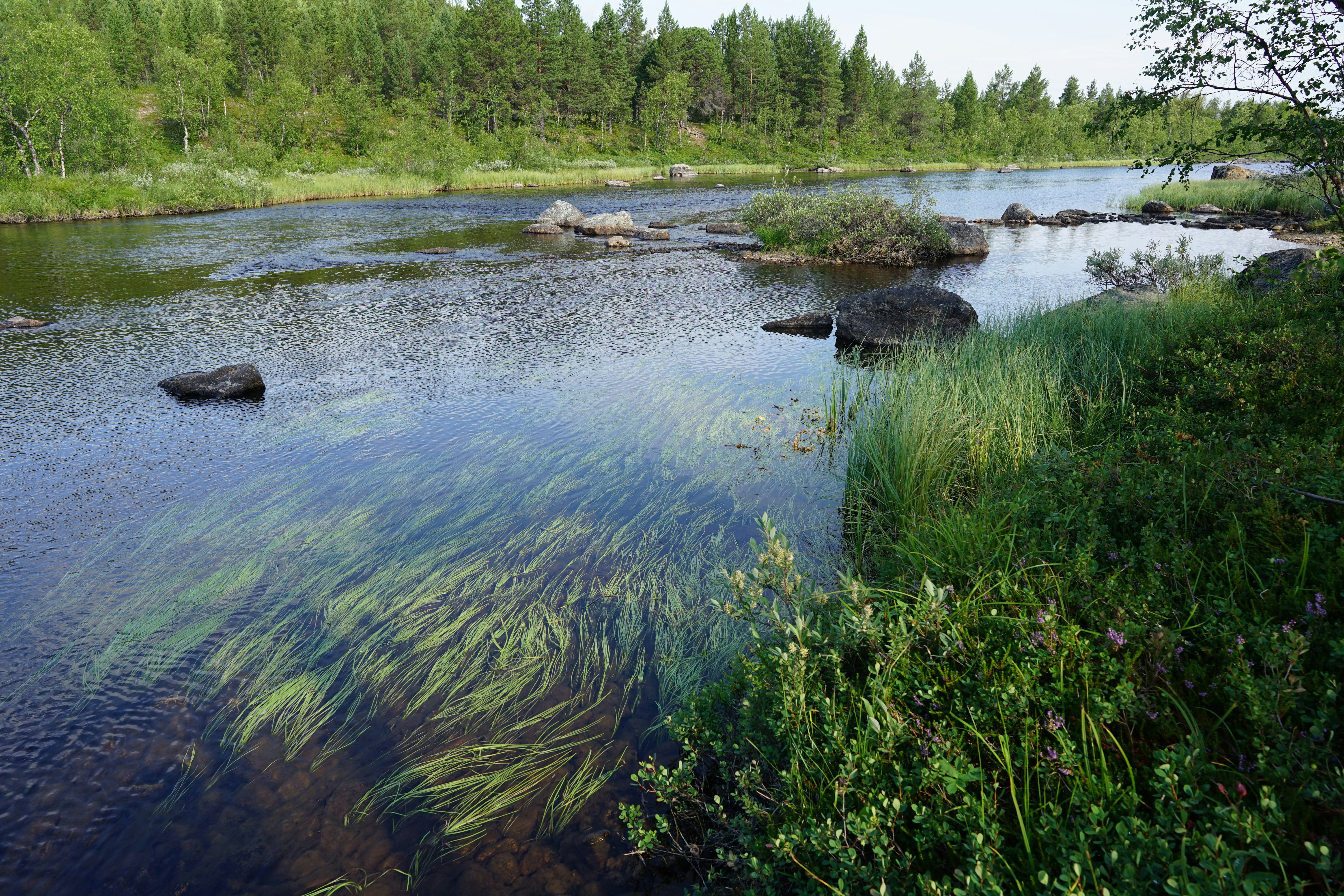 Muotkan Ruoktu - Blick auf den Fluss am Campingplatz