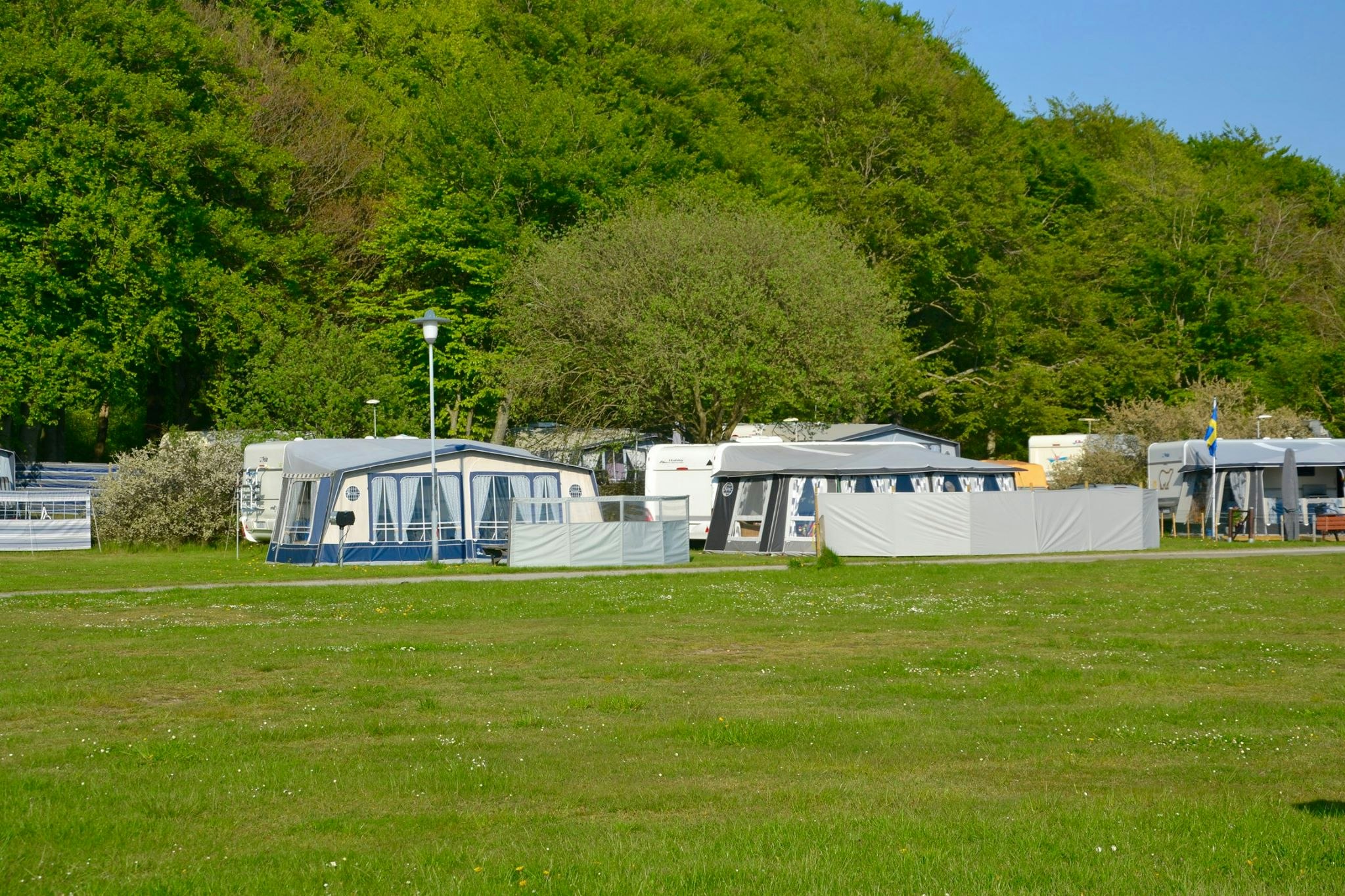 My Camping Tredenborg - Standplatzwiese auf dem Campingplatz