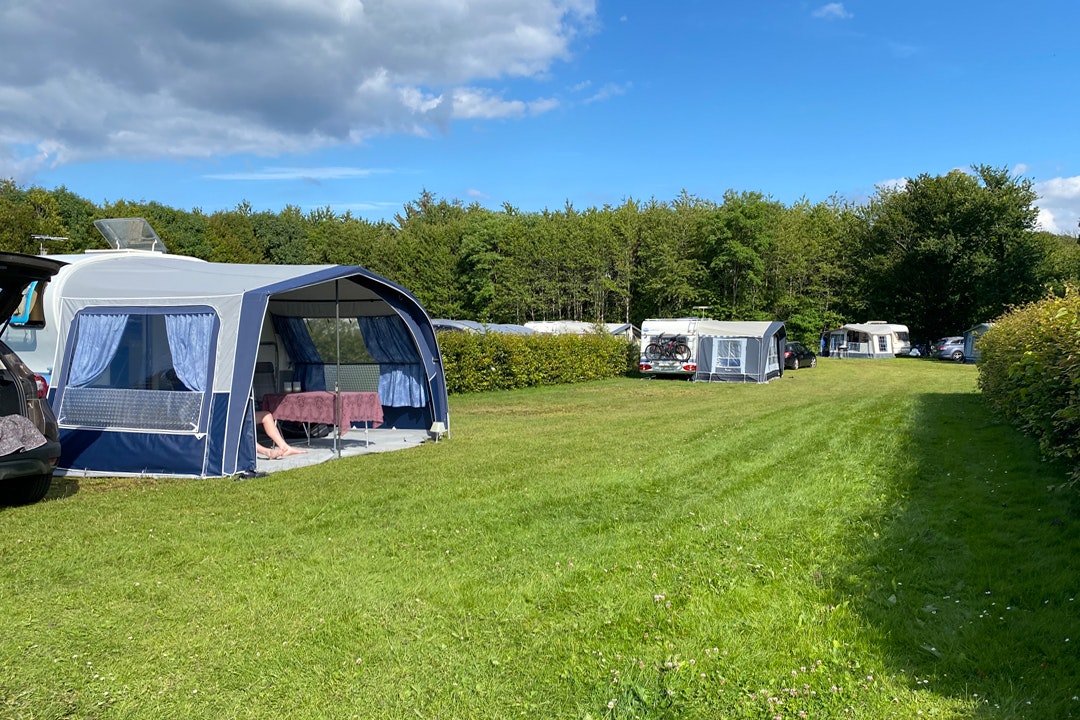 MyCamp Trelde Næs - Stellplätze auf dem Campingplatz