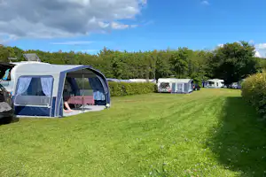 MyCamp Trelde Næs - Stellplätze auf dem Campingplatz