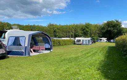 DANCAMPS Trelde Næs