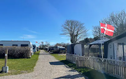 Myrhøj Camping