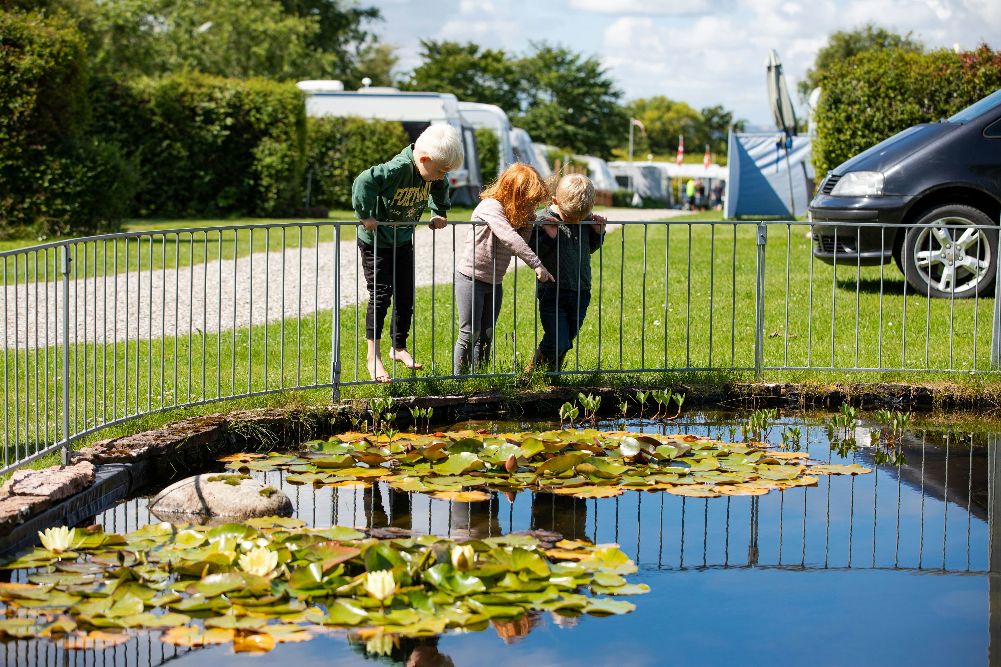 Myrhøj Camping - Teich mit Fischen auf dem Campingplatz