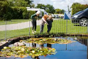 Myrhøj Camping - Teich mit Fischen auf dem Campingplatz