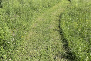 Na Škaluc Camping - Wiese auf dem Campingplatz