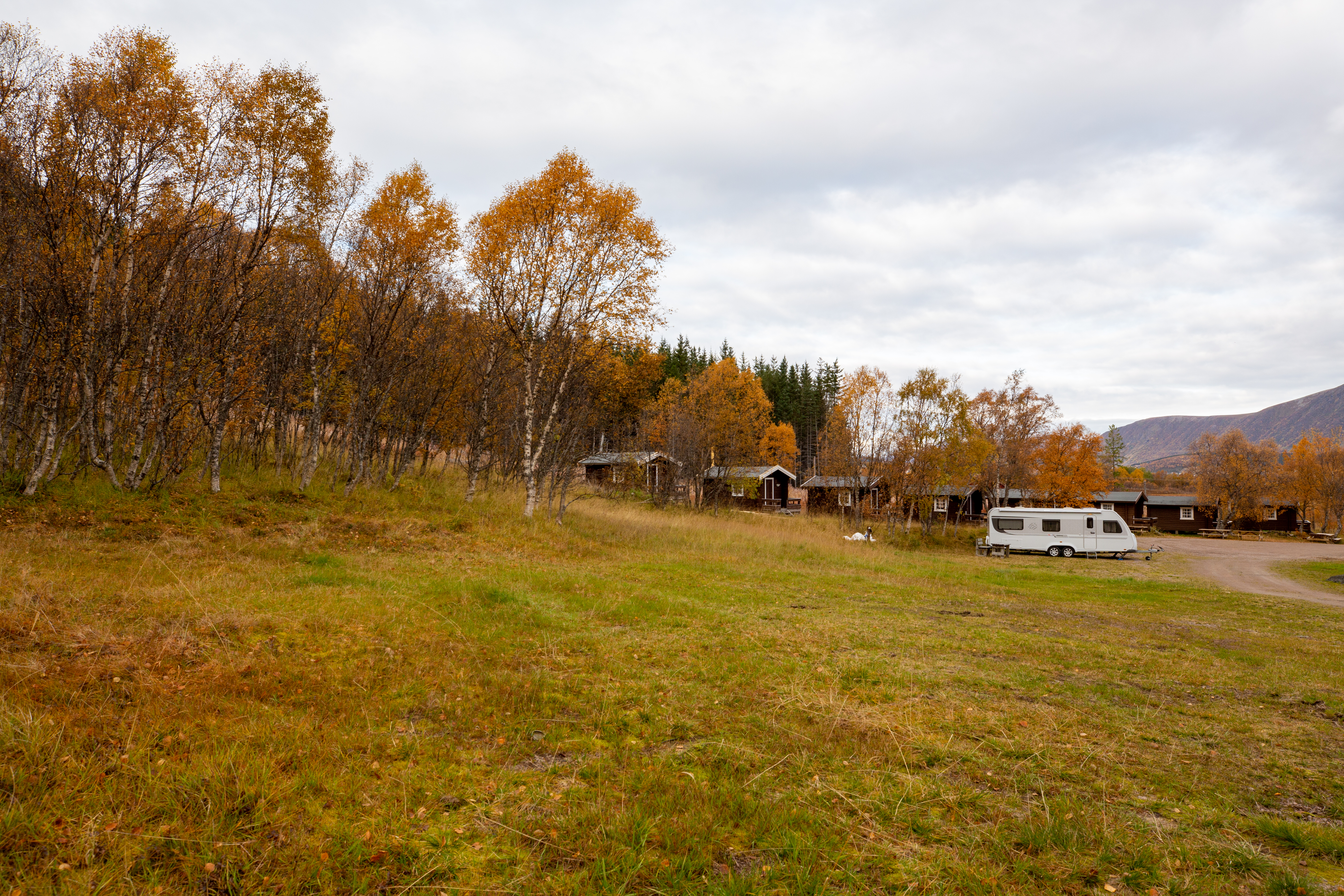 NAF-Camping Stokmarknes - Standplatz.jpg
