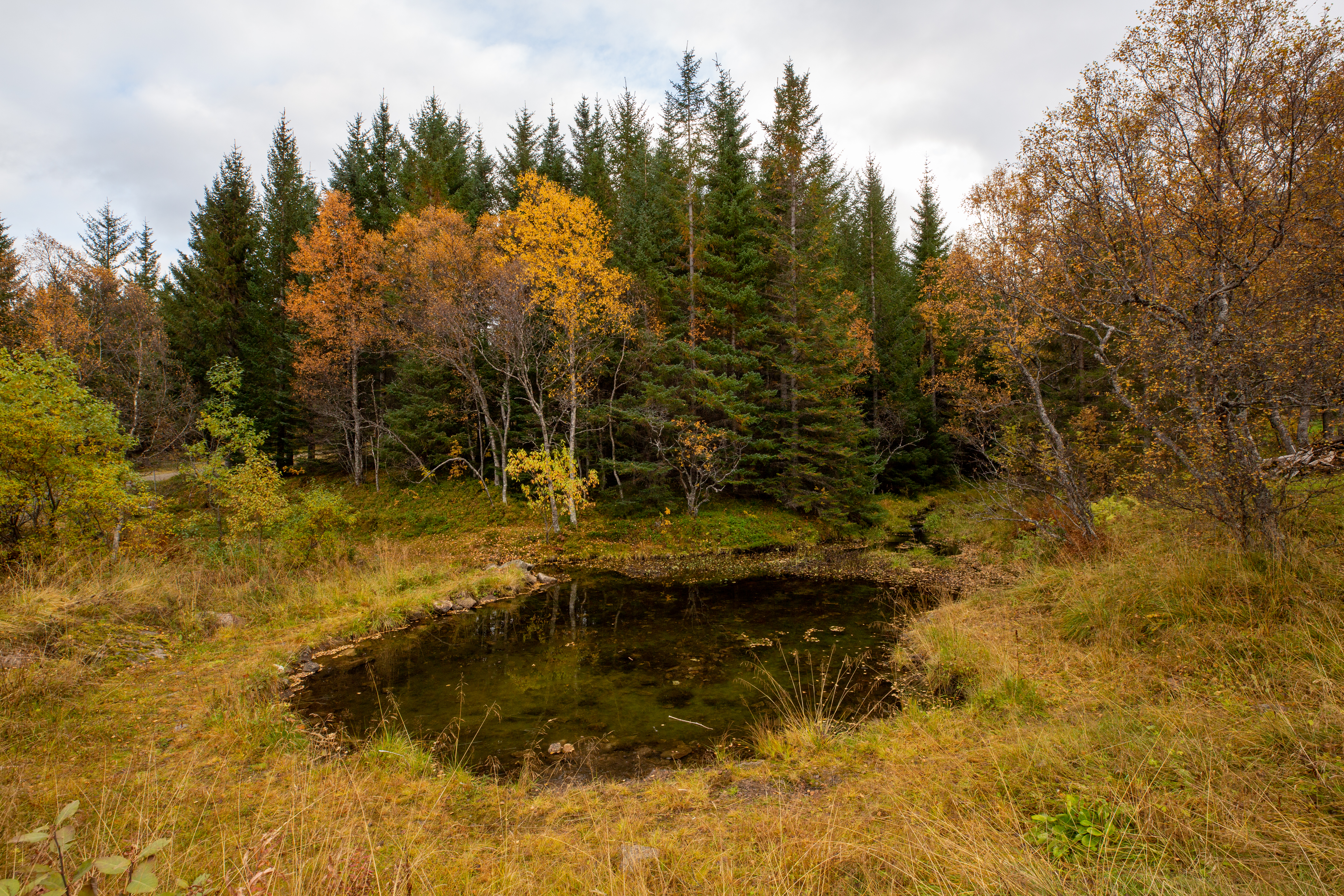 NAF-Camping Stokmarknes - Umgebung - Teich.jpg