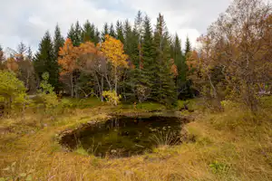 NAF-Camping Stokmarknes - Umgebung - Teich.jpg