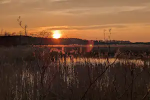 Sonnenuntergang über einer Winterlandschaft mit kahlen Bäumen und einem Feld im Vordergrund, im Hintergrund ein See.