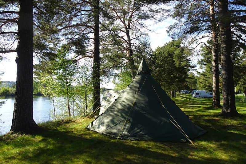 Nås Camping Dalarna - Zeltplatz auf der Wiese im Schatten der Bäume