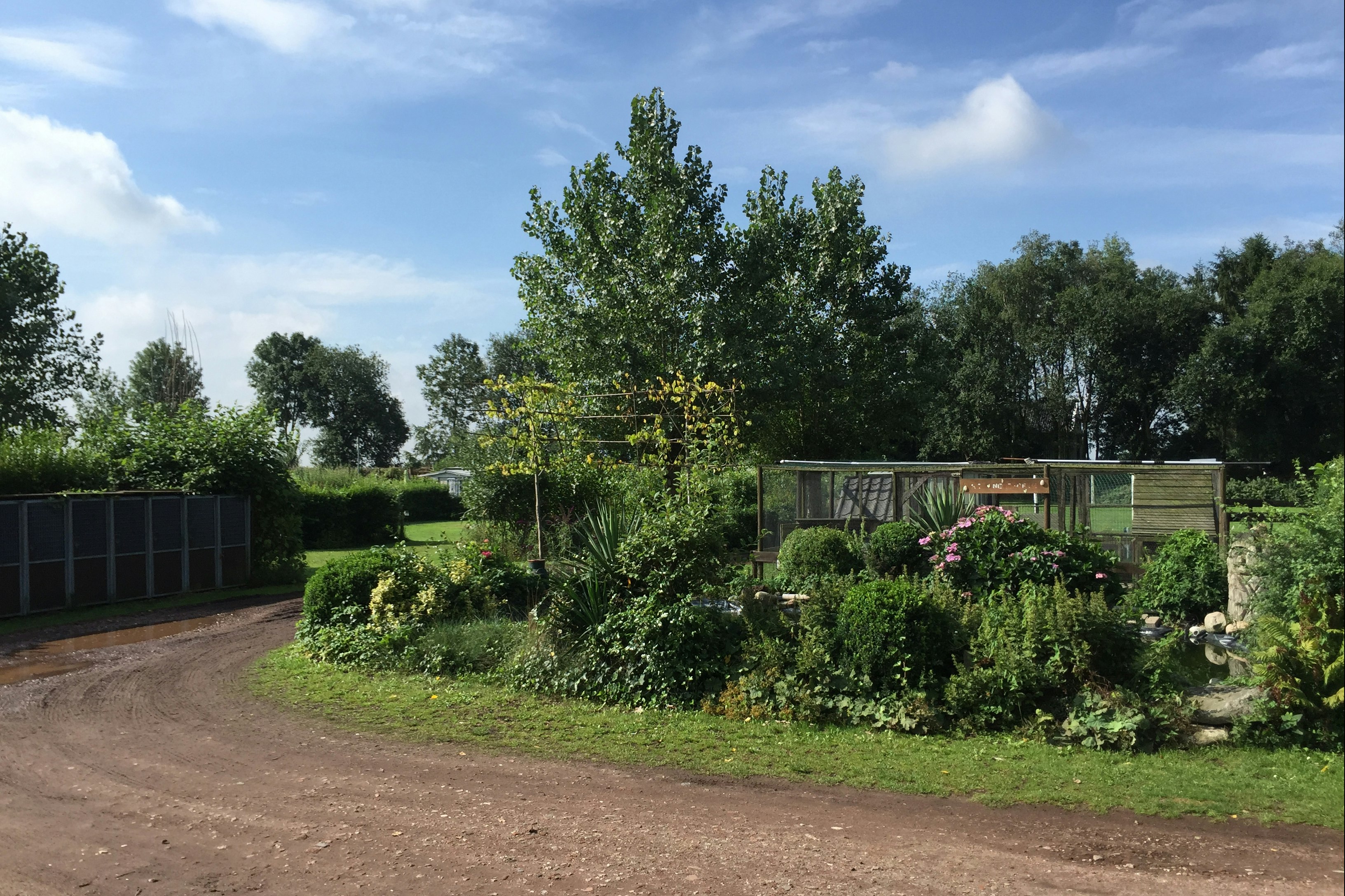 Natupark -Het Verlaat- - Blick auf den Campingplatz im Grünen