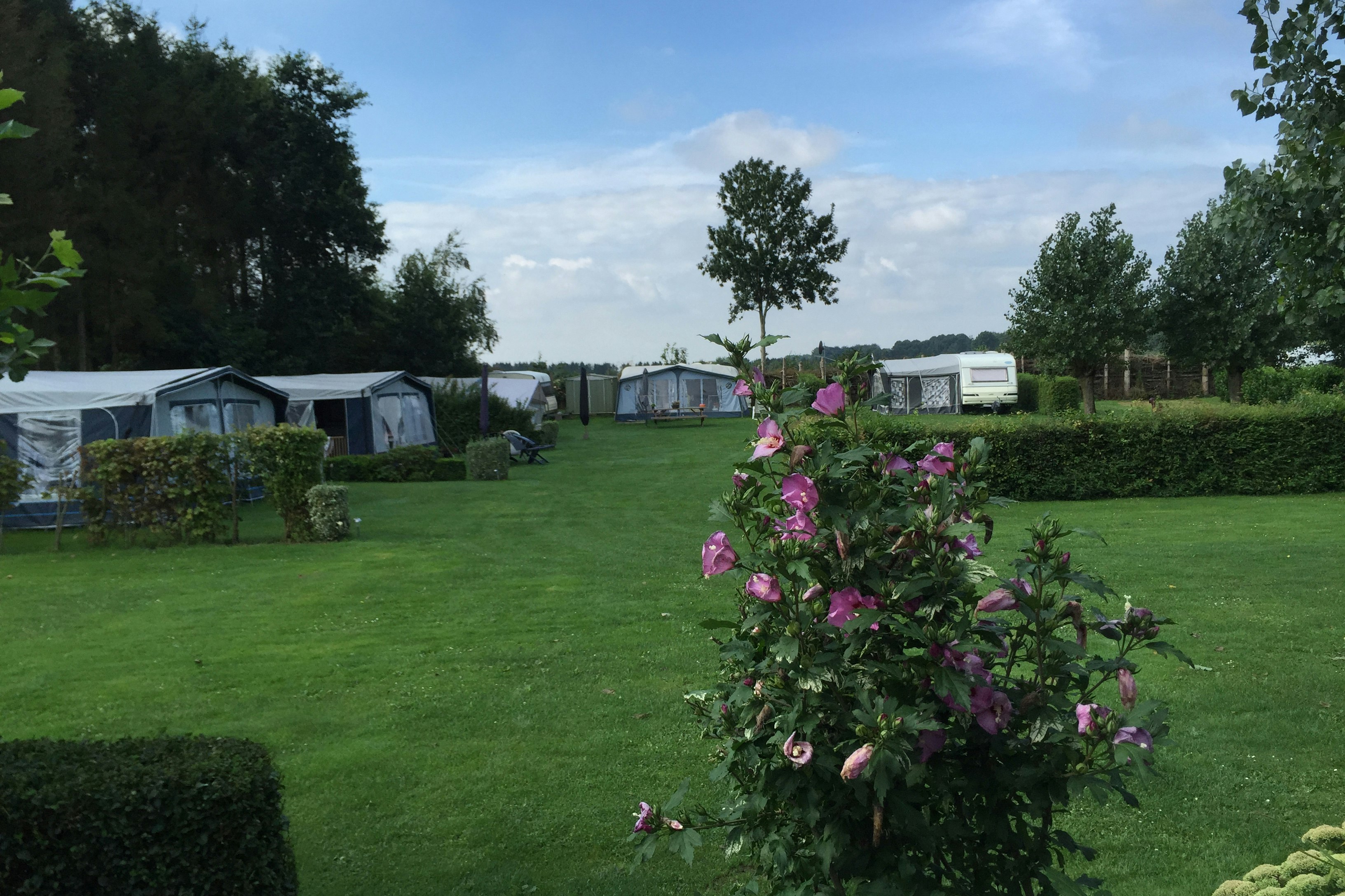 Natupark -Het Verlaat- - Stellplätze auf dem Campingplatz