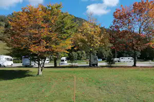Wohnmobile auf einem Campingplatz auf einer grünen Wiese, umgeben von bunten Bäumen und einem klaren Himmel.