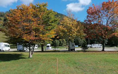 Natur-Camp Tannenfels