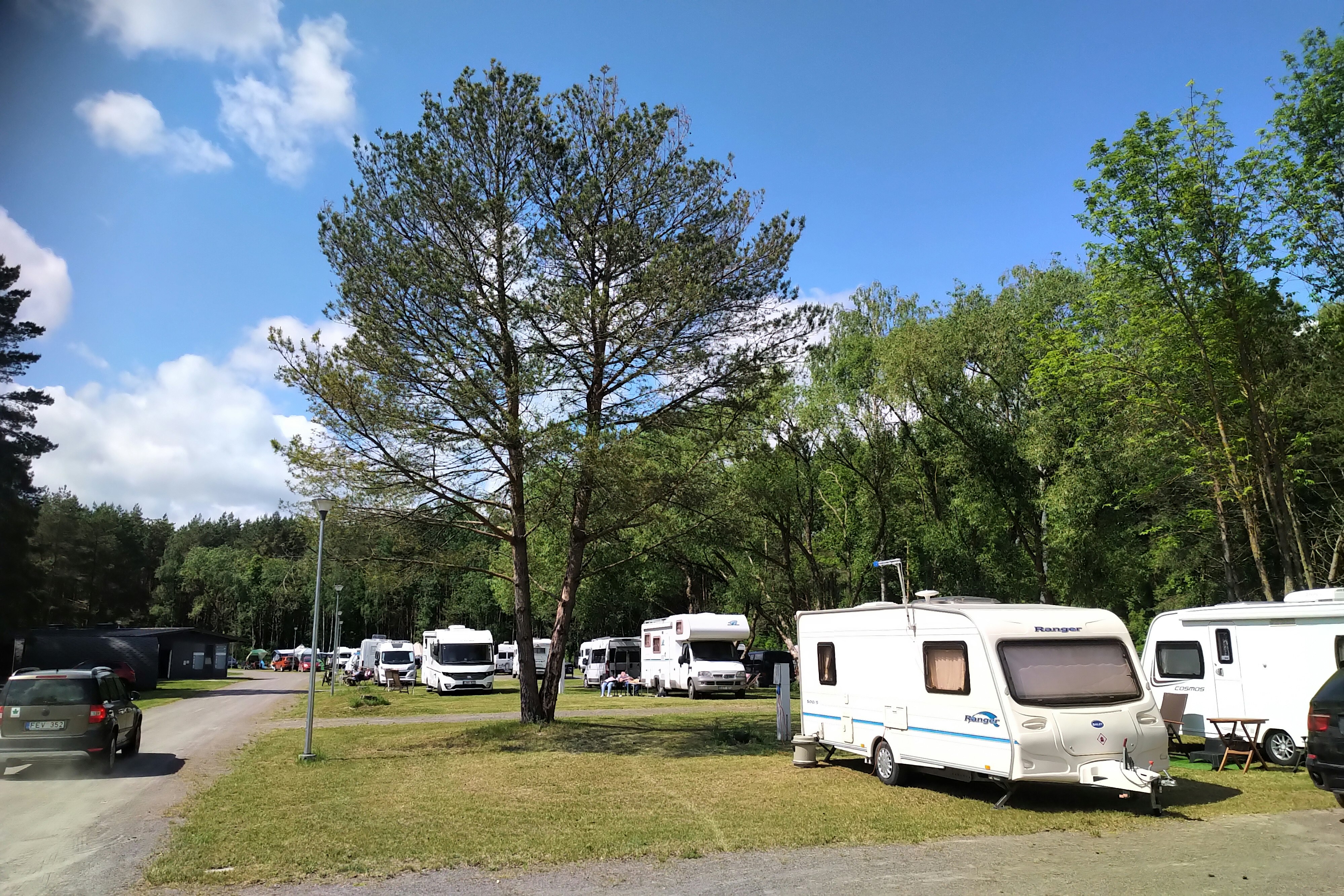 Natur Camp Birstonas - Standplätze teilweise im Halbschatten unter Bäumen