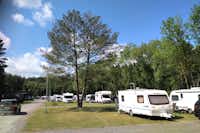 Natur Camp Birstonas - Standplätze teilweise im Halbschatten unter Bäumen
