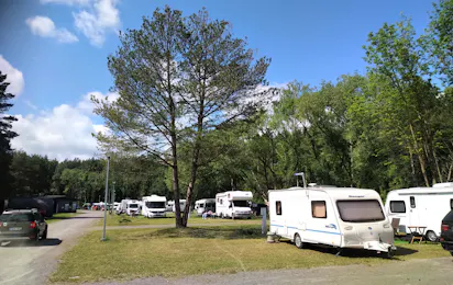 Natur Camp Birstonas