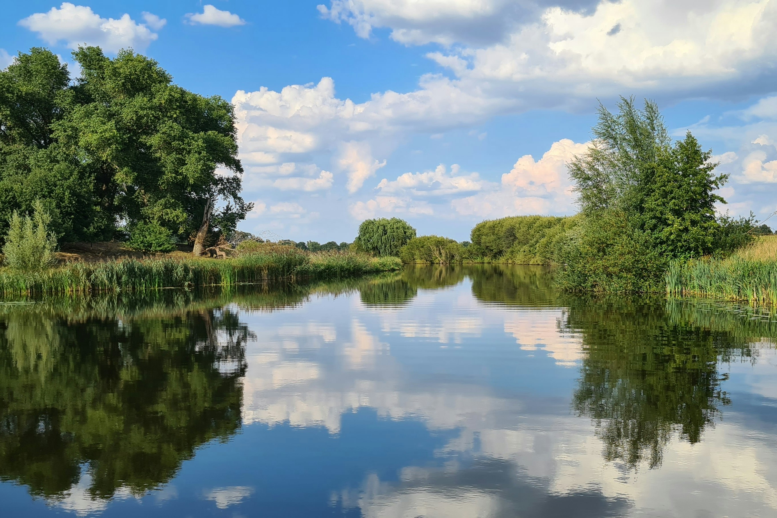 Natur Camping de Zwiese - Campingplatz am Wasser