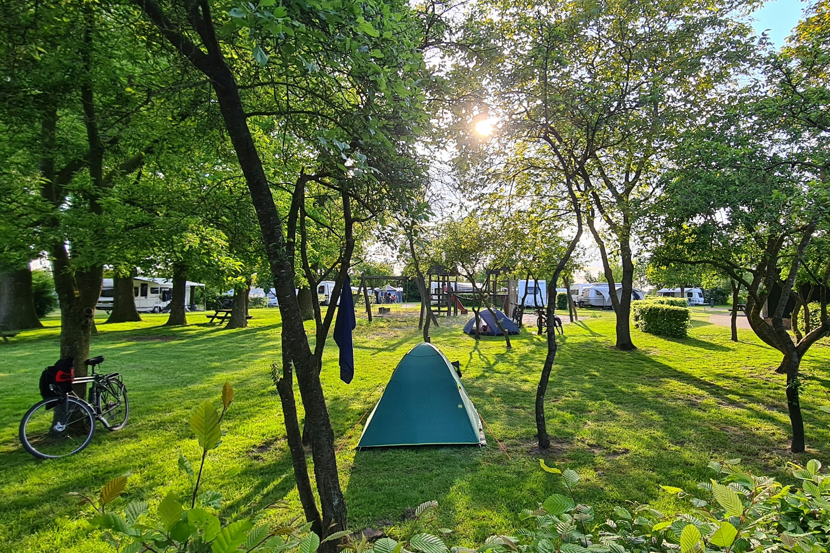 Natur Camping de Zwiese - Zeltwiese auf dem Campingplatz