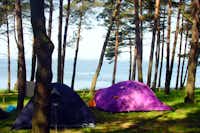 Natur Camping Usedom - Zeltplätze mit Blick auf das Wasser