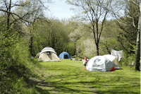 Natur-Camping Vulkaneifel  -  Zeltplatz vom Campingplatz auf grüner Wiese
