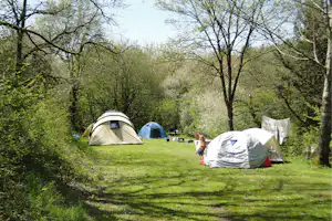 Natur-Camping Vulkaneifel - Zeltplatz vom Campingplatz auf grüner Wiese