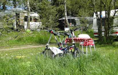 Naturcamping Vulkaneifel
