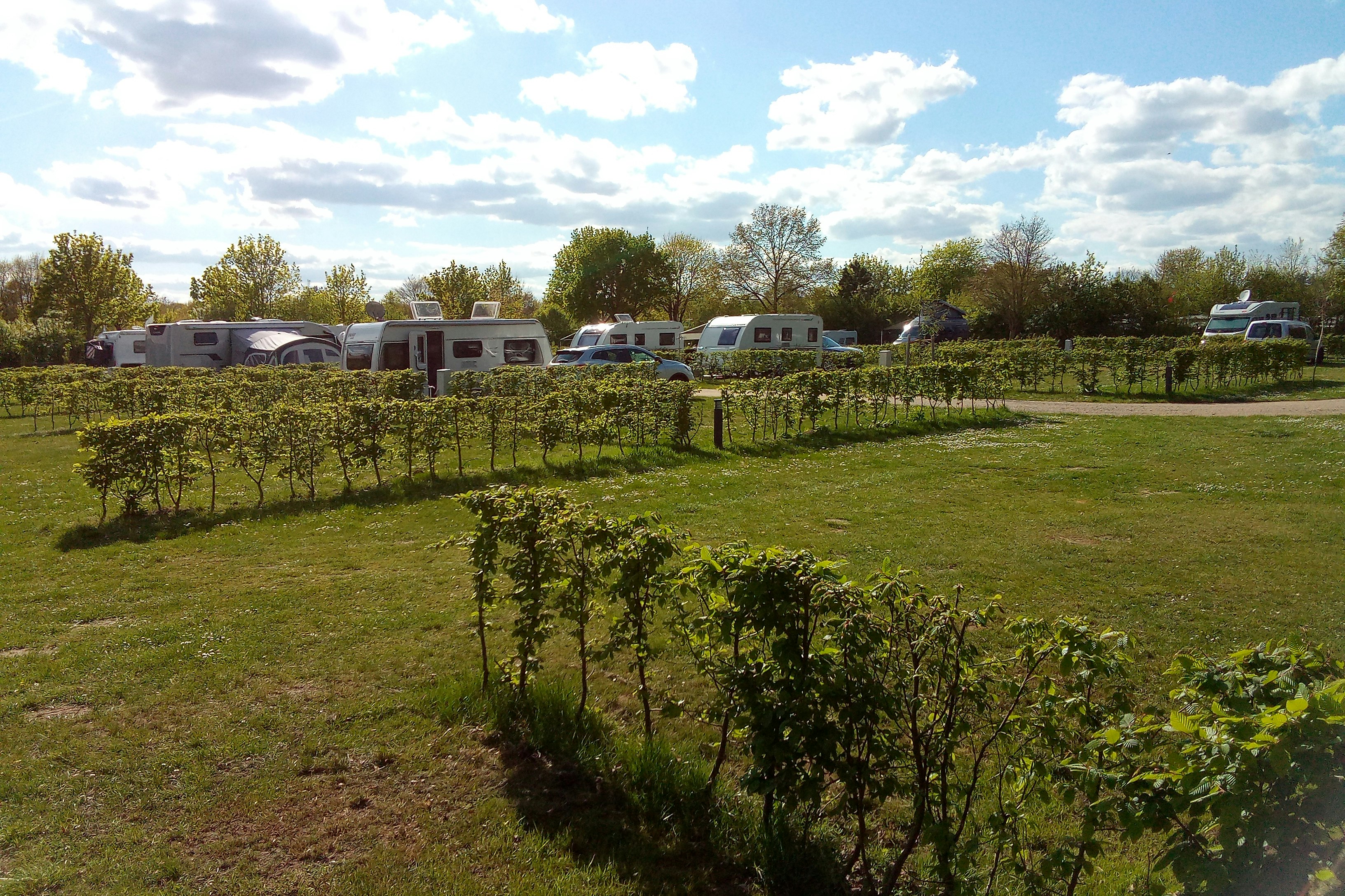 Wohnwagen und Campingfahrzeuge auf einem Stellplatz, umgeben von gepflegten Hecken und Ranken im Gartenbereich.