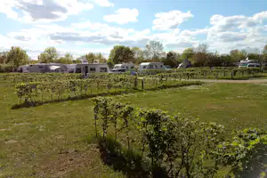 Wohnwagen und Campingfahrzeuge auf einem Stellplatz, umgeben von gepflegten Hecken und Ranken im Gartenbereich.