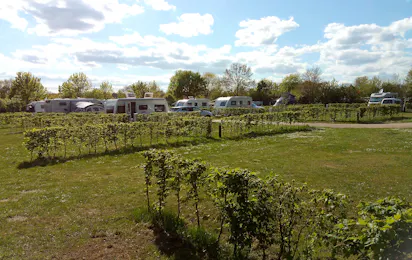 Natur-Campingplatz Salemer See
