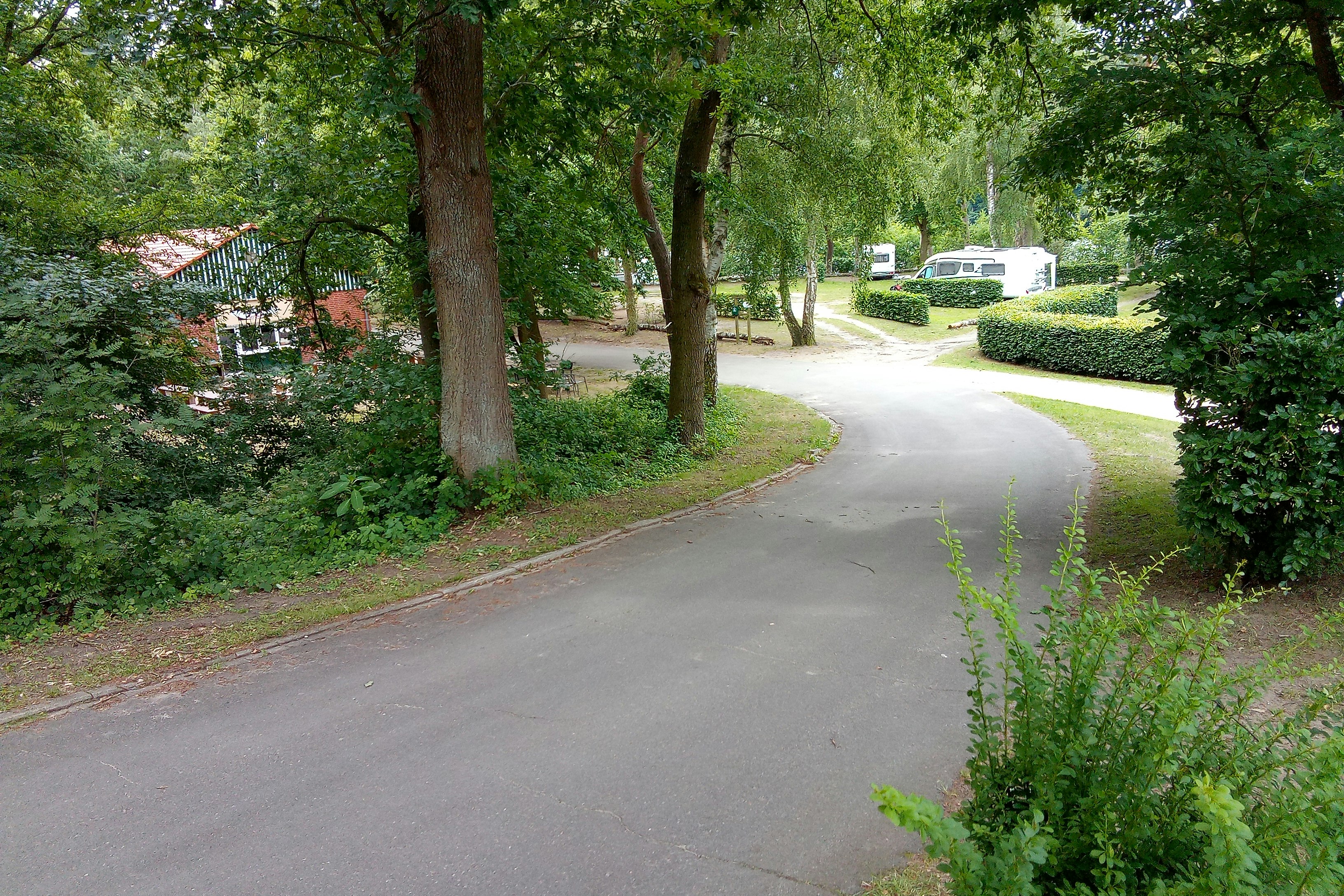 Asphaltweg im Campingbereich, umgeben von Bäumen und Hecken, mit Wohnwagen und kleinen Gebäuden im Hintergrund.