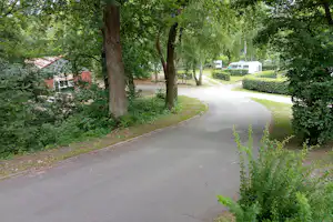 Asphaltweg im Campingbereich, umgeben von Bäumen und Hecken, mit Wohnwagen und kleinen Gebäuden im Hintergrund.