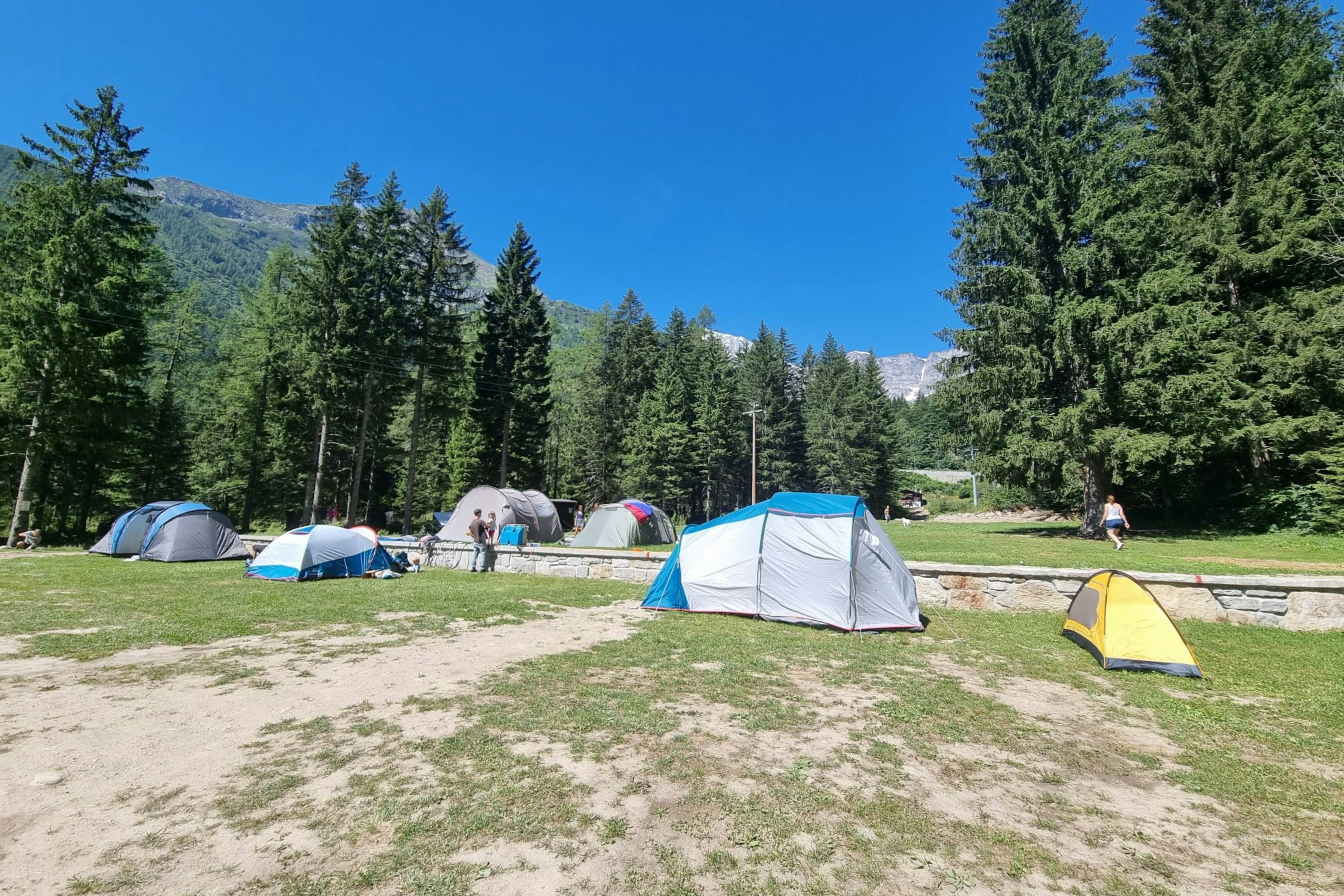 Natural Camping Macugnaga  Natural Camping Macugnana - Zeltplätze auf der Wiese umgeben von Bäumen