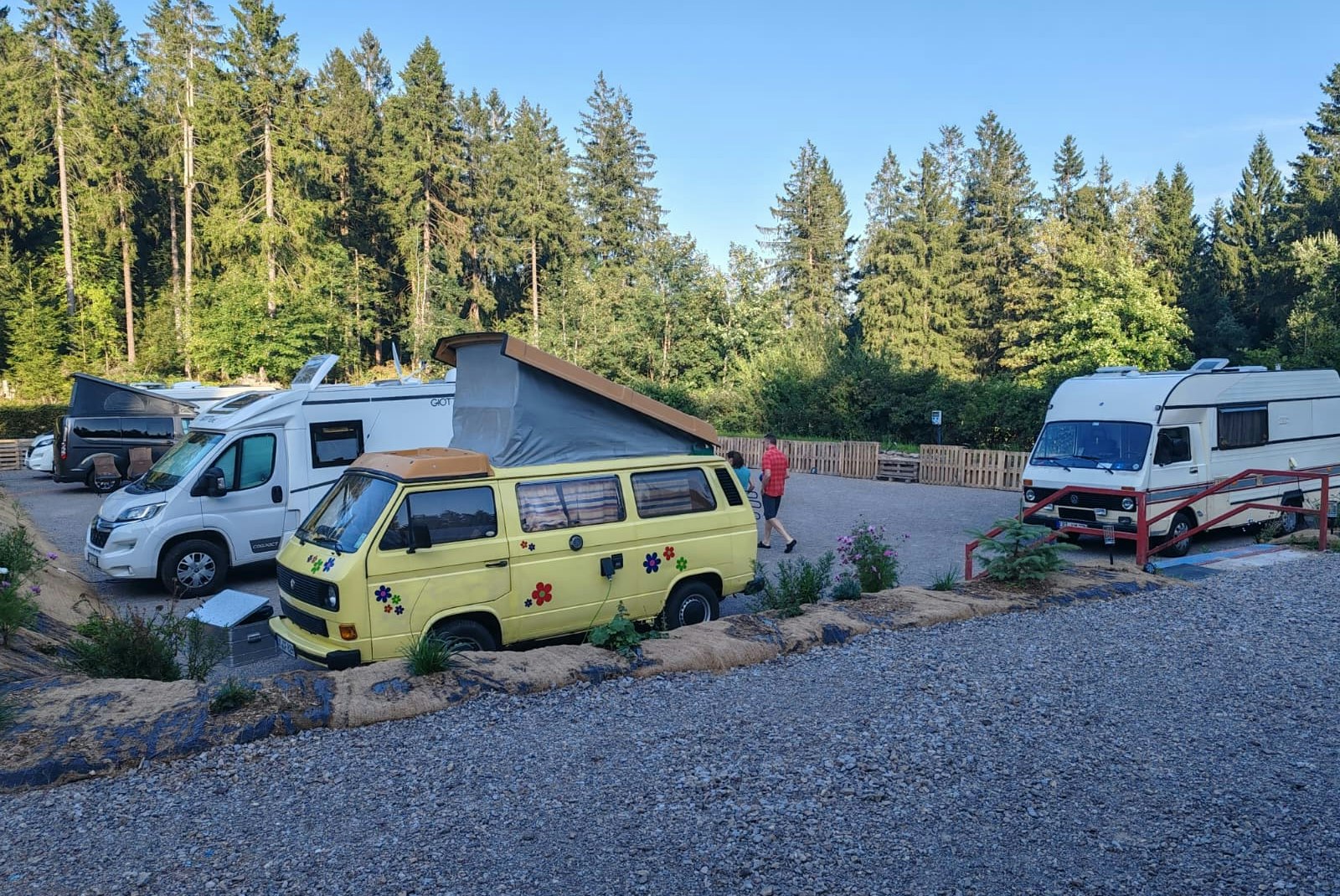 Naturcamp Lenkgrund - Standplätze auf dem Campingplatz