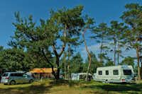 Naturcamp Pruchten - Wohnmobilstellplätze unter Bäumen auf dem Campingplatzgelände