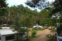 Naturcamping am Großen Pälitzsee - Stellplätze im Schatten unter Bäumen auf dem Campingplatz