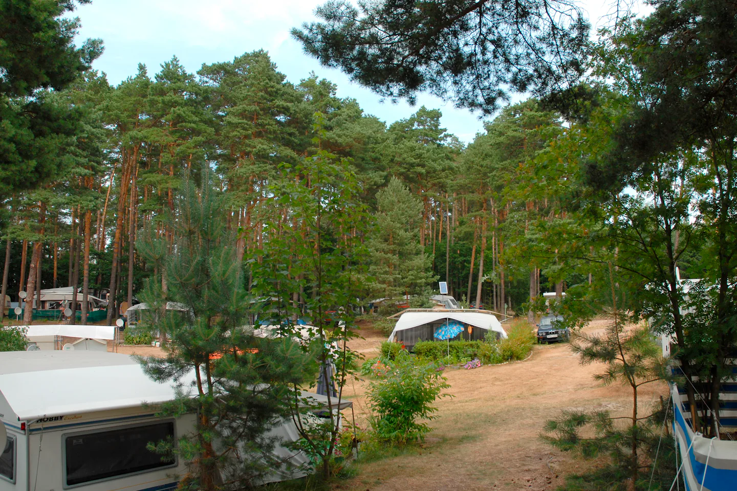 Naturcamping am Großen Pälitzsee