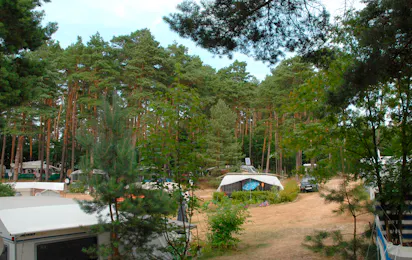 Naturcamping am Großen Pälitzsee