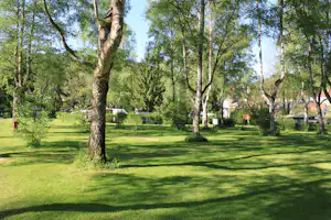 Naturcamping Braunsbach - Stellplatz vom Campingplatz auf grüner Wiese