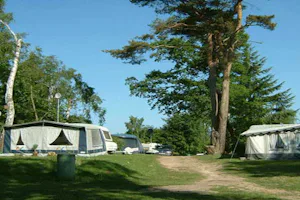 Naturcamping Buchholz - Wohnwagen- und Zeltstellplatz vom Campingplatz im Grünen