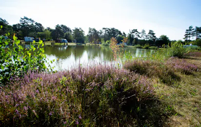 Naturcamping Lüneburger Heide