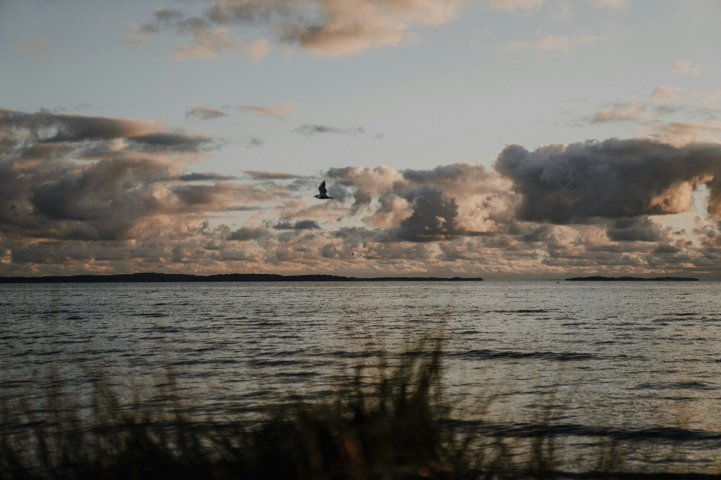 Wildwood Camping Rügen